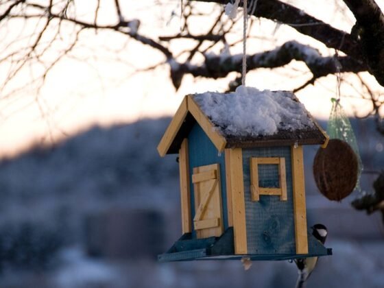 Featured of The Most Important Steps to Have Your Home Ready for Winter