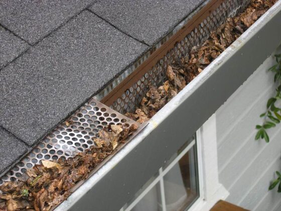 Featured of How to Keep Your Leaf Gutters Clean