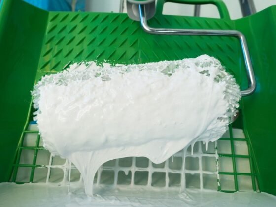 Featured of Why Is It Essential to Hire a Professional Painter Find Out Here