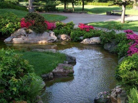 Featured of 5 Things to Consider When Setting Up a Garden Pond