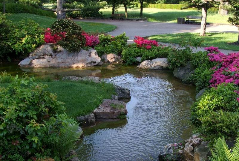 5 Things to Consider When Setting Up a Garden Pond 5 Things to Consider When Setting Up a Garden Pond