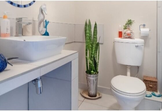 Featured of How to Eliminate Bad Odours from Your Bathroom for Good