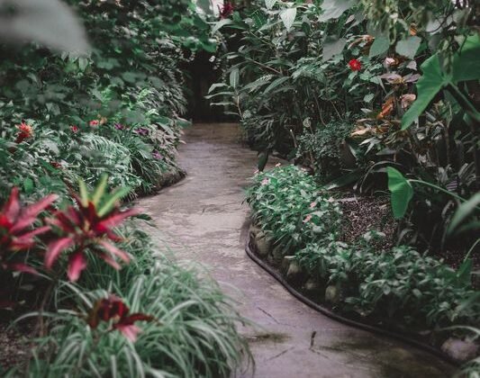 Featured of Drip Irrigation