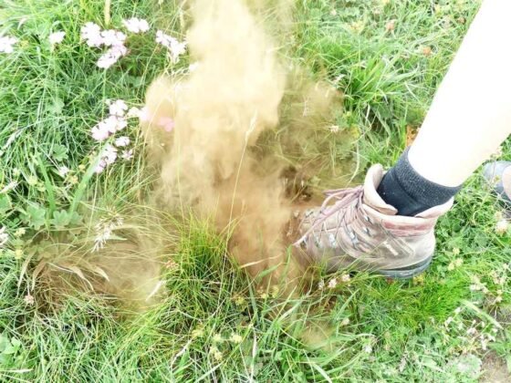 Featured of Effective Dust Control While Landscaping