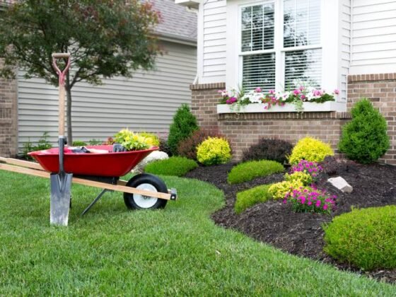 Featured of How to Do Landscaping Right in Winter, Spring, Summer or Fall