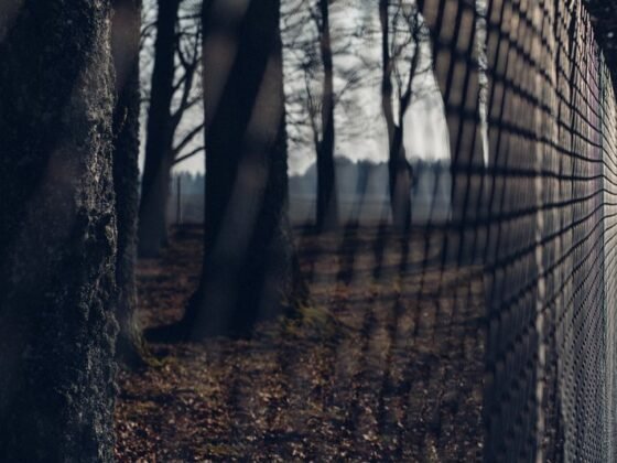 Featured of Critter Fencing