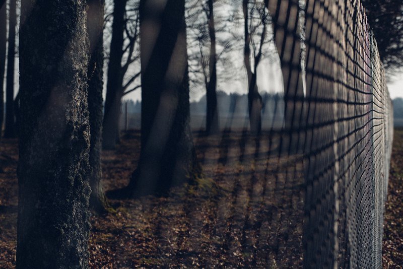 Protect Your Garden With a Top-Quality Critter Fencing Protect Your Garden With a Top-Quality Critter Fencing