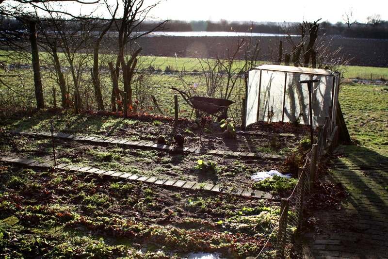 Is It Possible to Grow Vegetables During the Winter Season? Grow Vegetables During the Winter Season