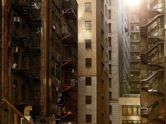 Featured of Different Types of Building Inspectors