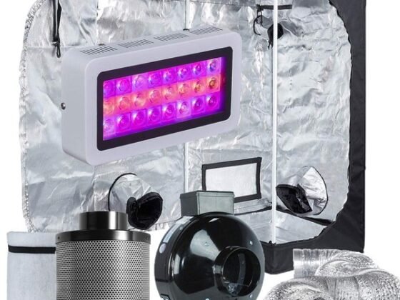 Featured of Choosing the Right to Grow Tent Size