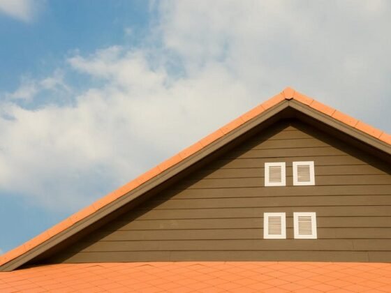Featured of Be the Envy of Neighbors: 5 Tips on How to Have the Best Roof in your Neighborhood