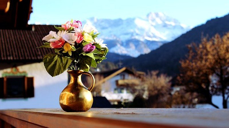 Reasons for the Popularity of Artificial Plants in Australia Reasons for the Popularity of Artificial Plants