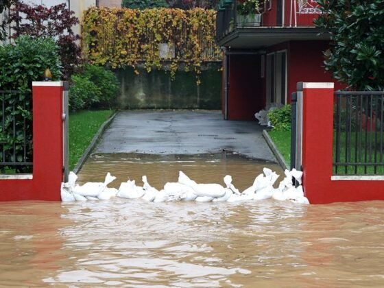 Featured of How Can Sump Pump Battery Backup Help in Drying the Basement