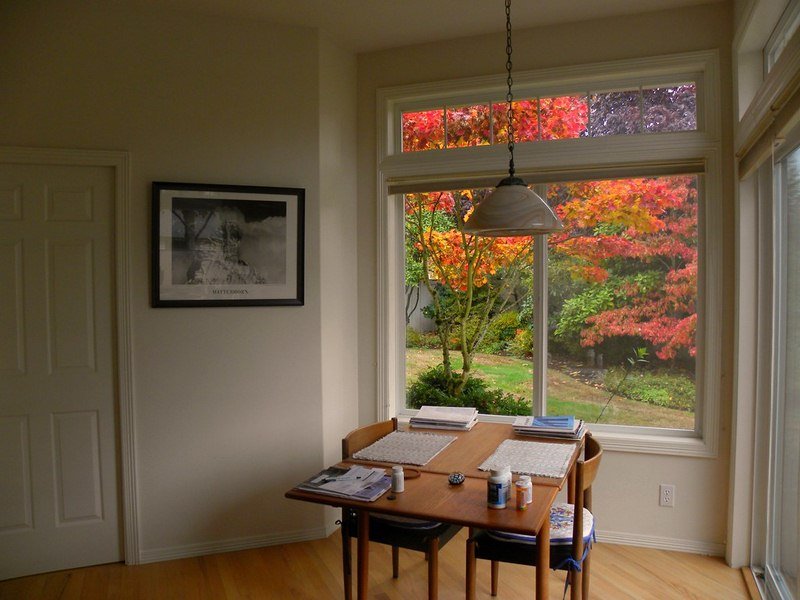 8 Types of Windows You Can Choose from to Style Your Home Types of Windows You Can Choose from to Style Your Home