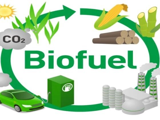 Featured of 8 Top Sources of Biofuel