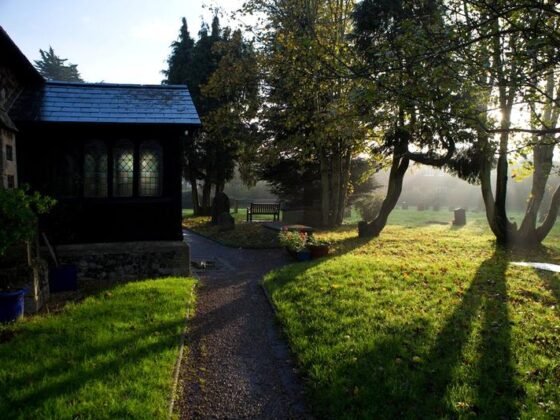 Featured of How to Make the Neighbor's Jealous of Your Lawn