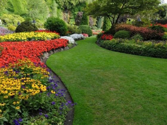 Featured of 5 Basic Lawn Care and Maintenance Tips