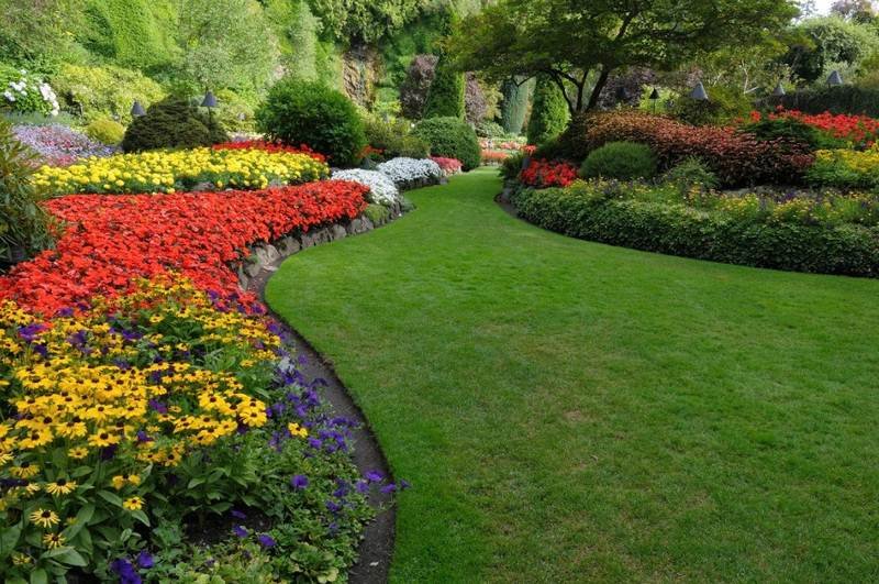 5 Basic Lawn Care and Maintenance Tips 5 Basic Lawn Care and Maintenance Tips