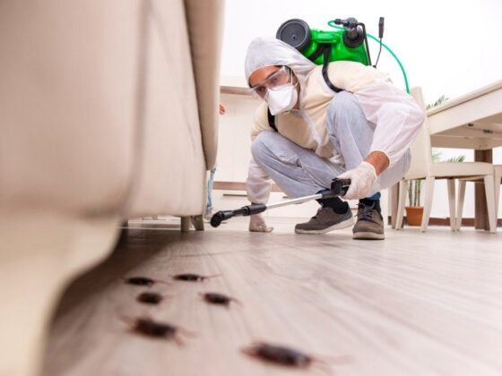 Featured of Get Rid of Roaches