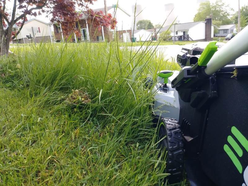 How and Why You Should Be Mowing Your Lawn img - How and Why You Should Be Mowing Your Lawn