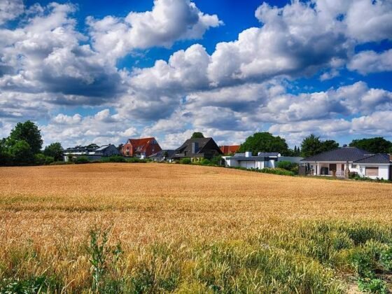 Featured image - How to Make Your Land More Appealing to Investors