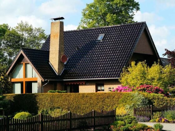 Featured image - Landscaping Shrubs