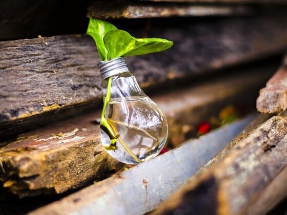 Featured image - How to Go About Recycling Old Electronics Lying In Your Garage