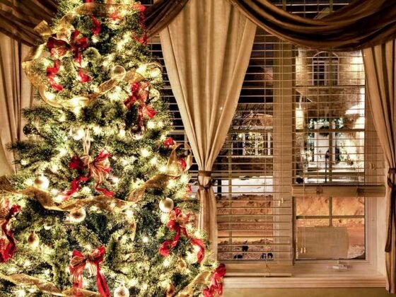 Featured image - Christmas Tree Recycle