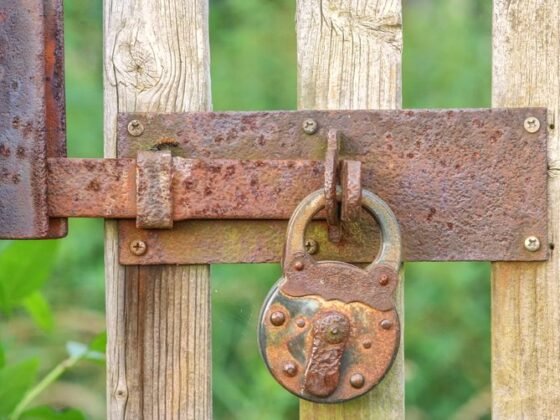 Featured image - Garden Security - 9 Key Ways to Deter Garden Thieves