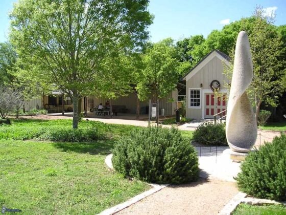 Featured image - Hazardous Tree Assessment - Overhanging Tree Safety Issue