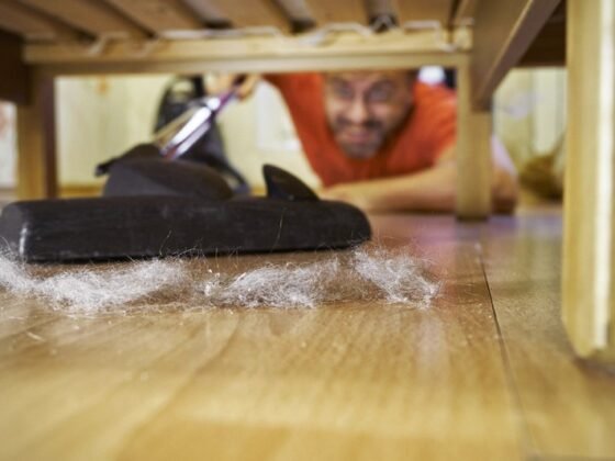 Featured image - How to Get Rid of Allergies Caused by Allergens in the Home