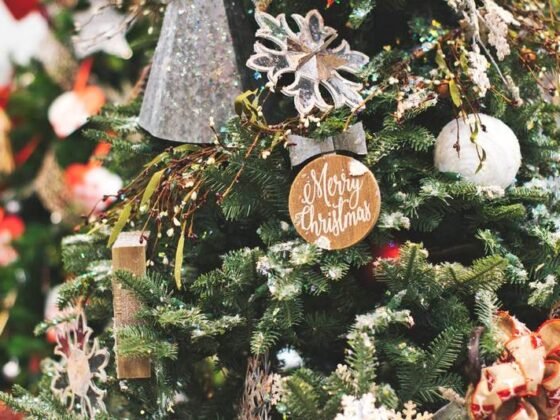 Featured image - How to Organize Christmas Decorations