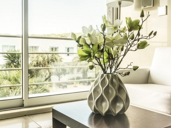 Featured image - Green Living - 9 of the Best Indoor Plants for Apartments