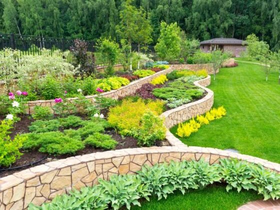 Featured image - 5 Resources You Can Use When You Need Landscaping Help