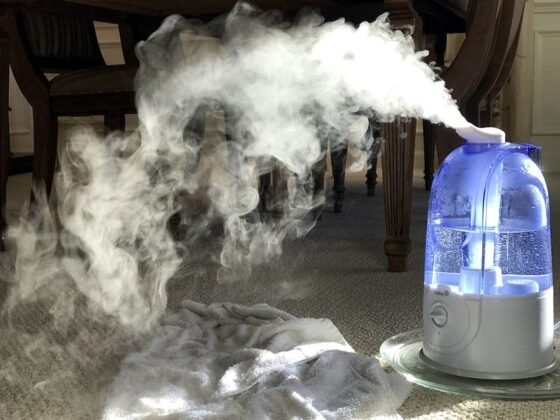 Featured image - Should You Get a Steam Humidifier for This Winter