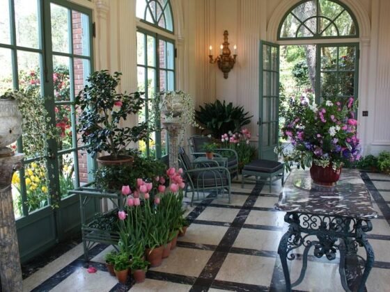 Featured image - How to Make an Indoor Garden at Home Guide