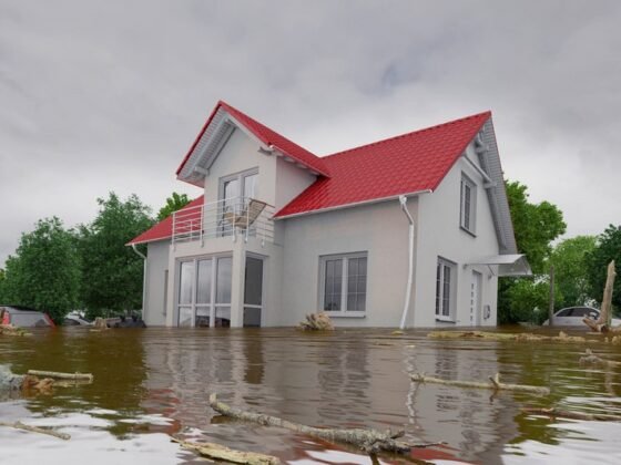 Featured image - How to Protect Your Home from Exterior Damage