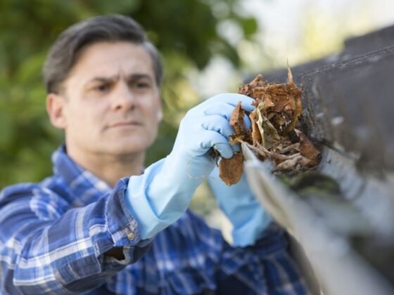 Featured image - The Ultimate Gutter Cleaning Guide - What You Need to Know