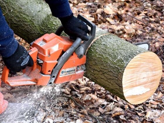 Featured image - 5 Things to Consider Before Choosing an Electrical Chainsaw