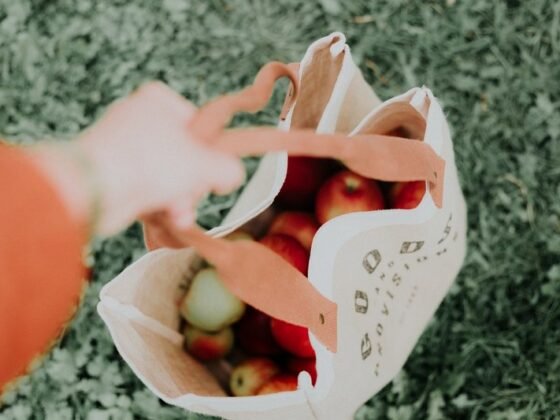 Featured image - 5 Eco-friendly Tips for Living a More Sustainable Lifestyle