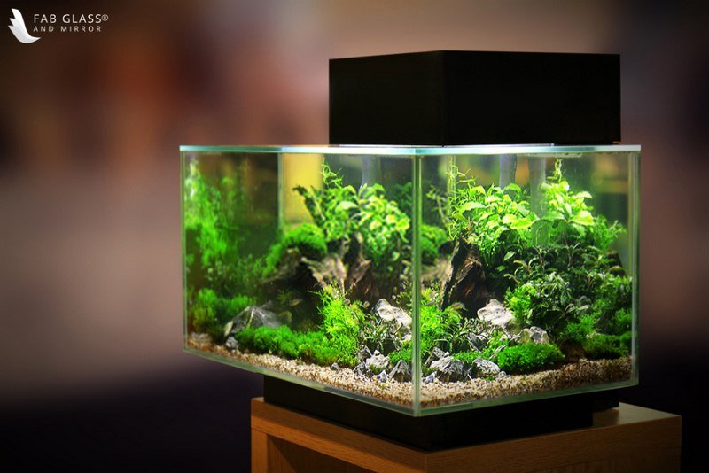 Aquariums image - Aquariums