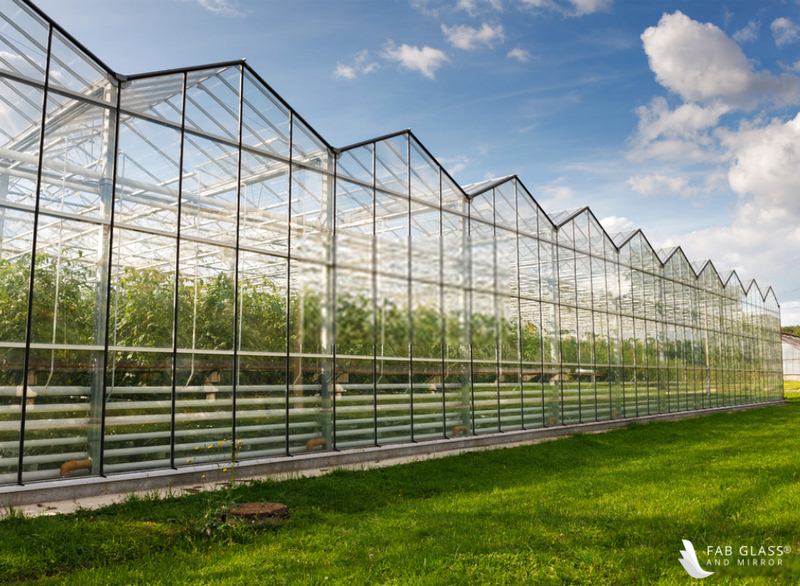 image - Greenhouses