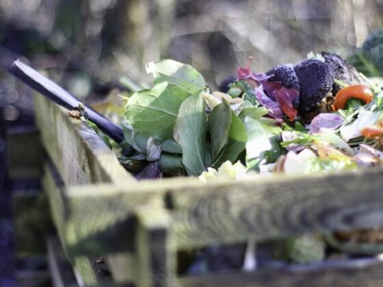 Featured image - How to Start a Composting Heap in Your Garden