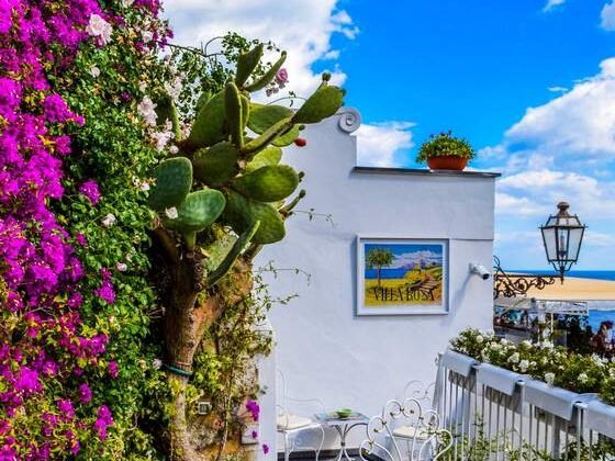 Featured image - The Vertical Garden Trend