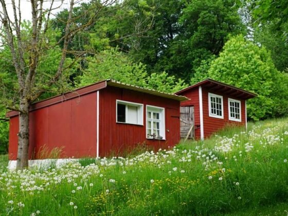 Featured image - How to Build a Tiny House with No Experience
