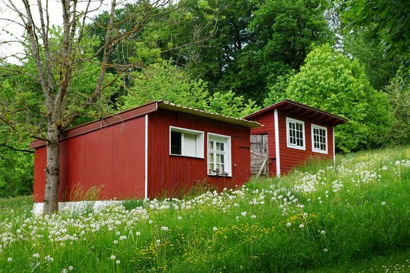 How to Build a Tiny House with No Experience Featured image - How to Build a Tiny House with No Experience