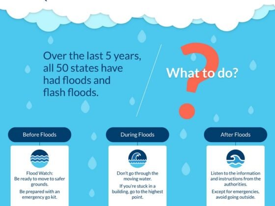 Featured image - Quick Actions to Take When Basements Floods