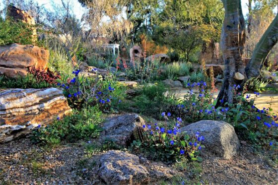 Featured image - Garden in Rock Style - Main Peculiarities