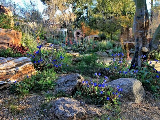 Featured image - Garden in Rock Style - Main Peculiarities