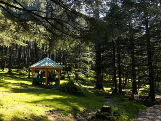 Featured image - How to Build a Gazebo for Your Home - A Simple Guide